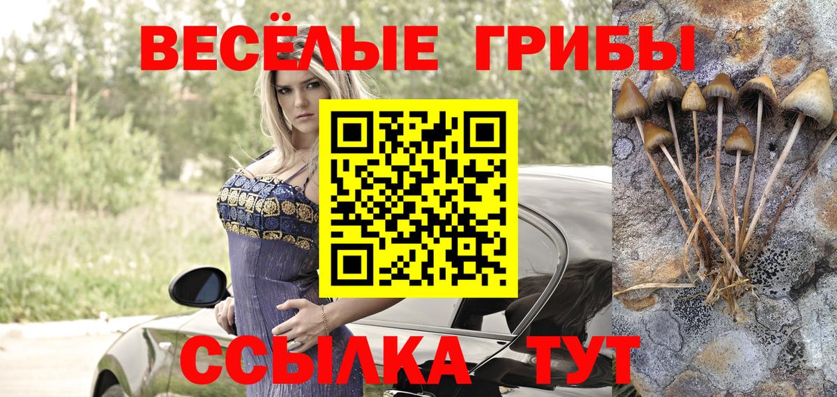 Галлюциногенные грибы мицелий  Вход с VPN  Тулун  Псилоцибиновые грибы GOLDEN TEACHER 